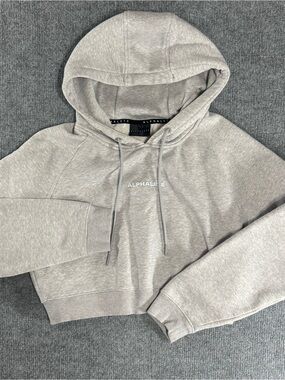 Alphalete Identity Cropped Pro Hoodie Small Heather Grey Gym Core Pump Cover Fit